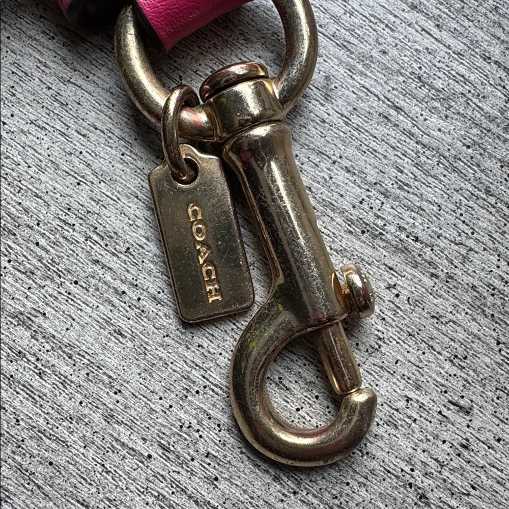 Coach Signature C Pink Striped Heart Charm Hang Tag Dogleash Snap Valet Keychain - Picture 5 of 8